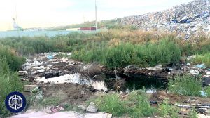 Кропивницкий: Городская свалка загрязняет подземные воды?!